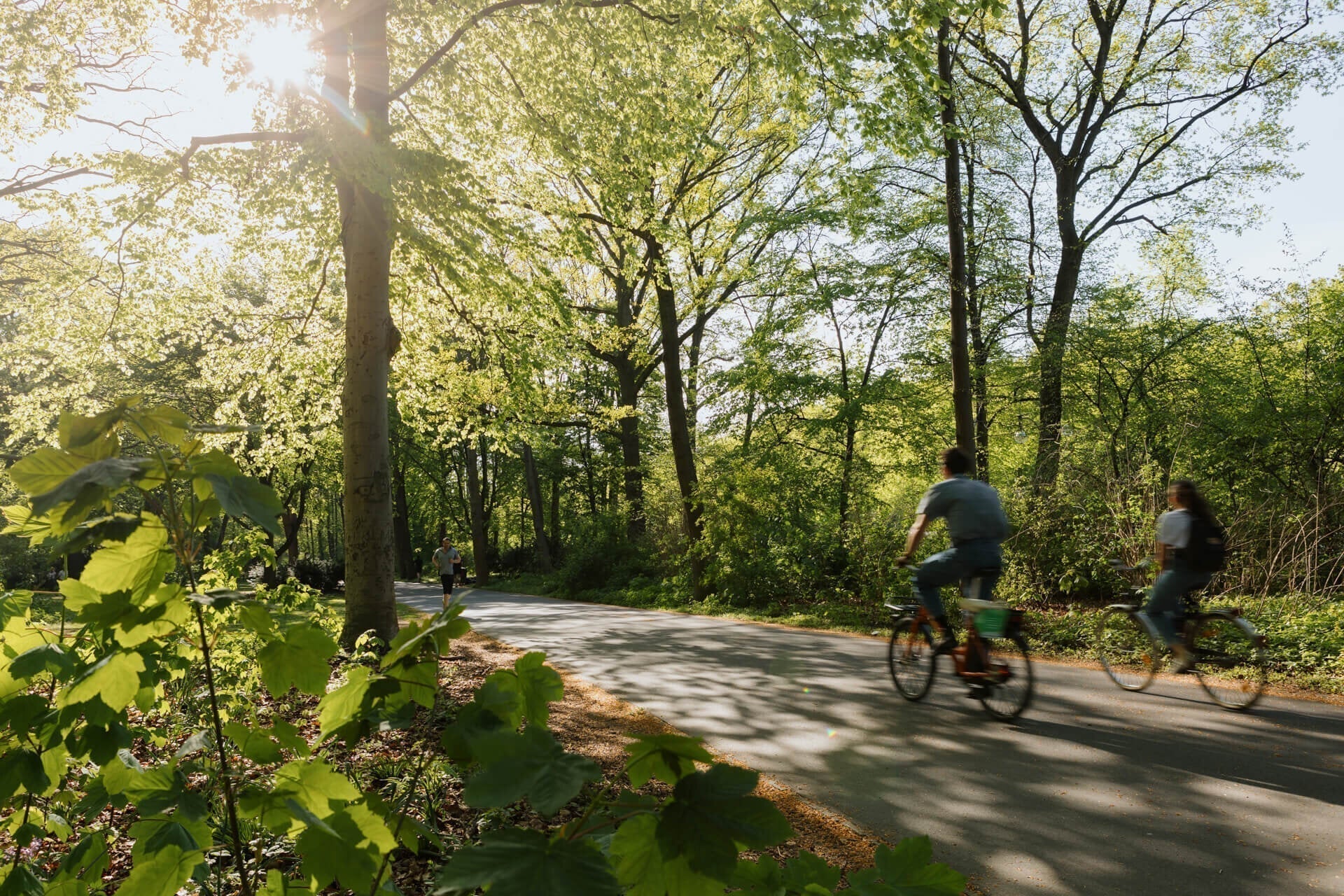 The Role of Electric Bikes in Green Urban Design