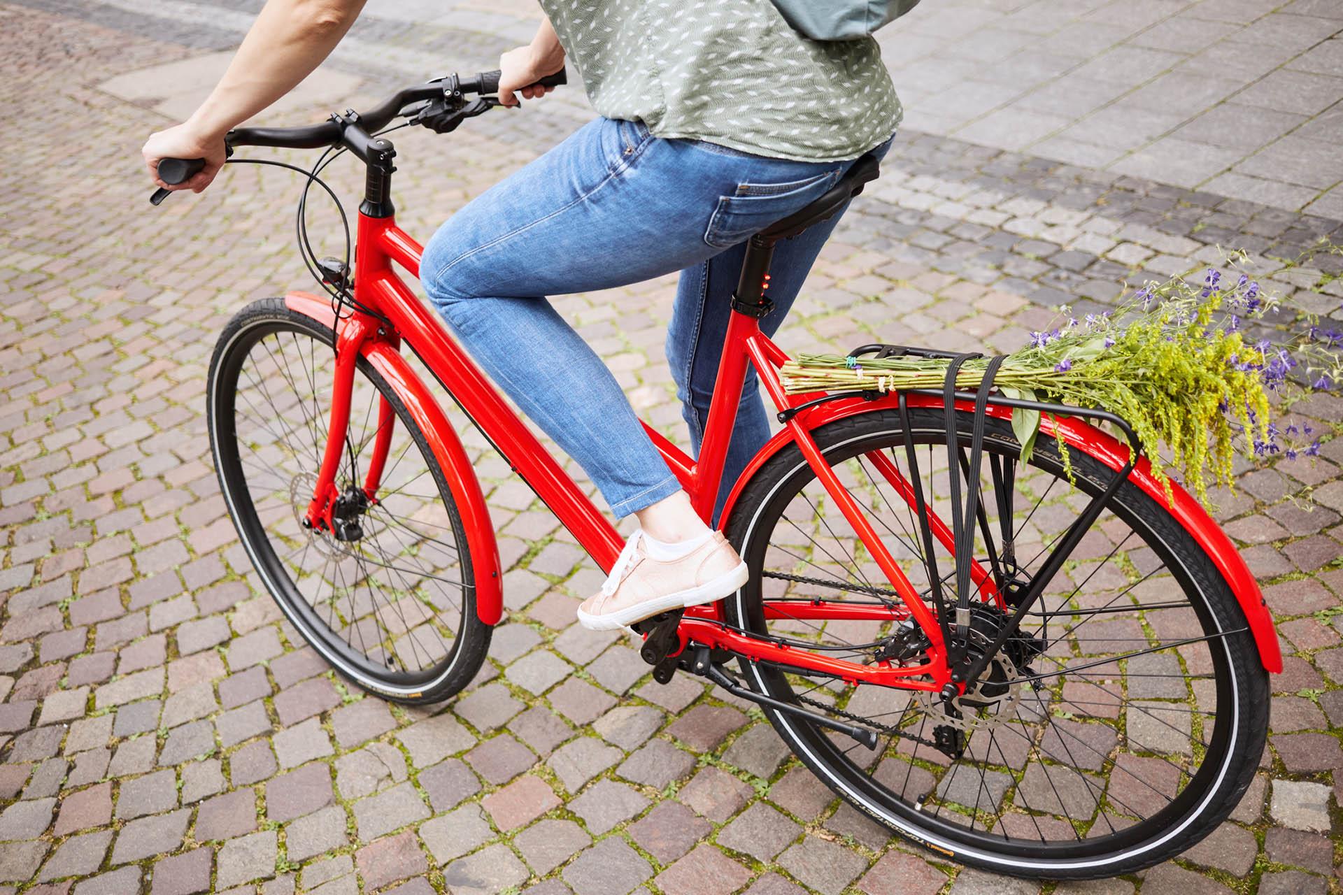 Santander Ampler Bikes