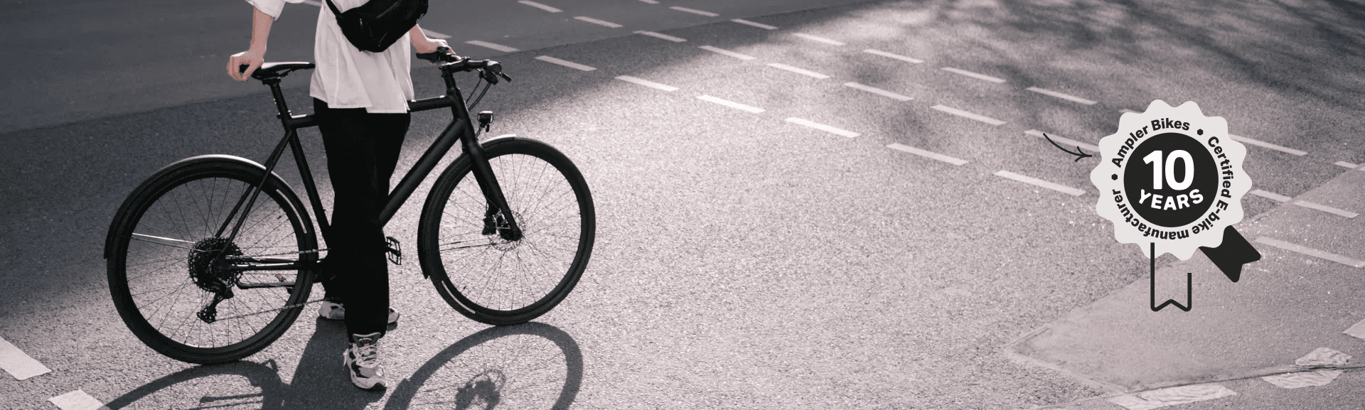 Ampler e bike sales