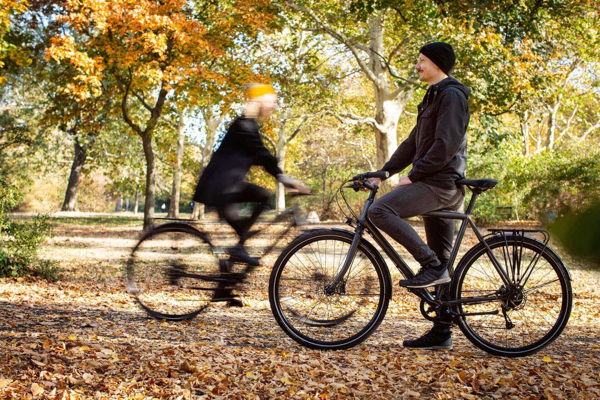 Fall's Gold - Easy forest routes