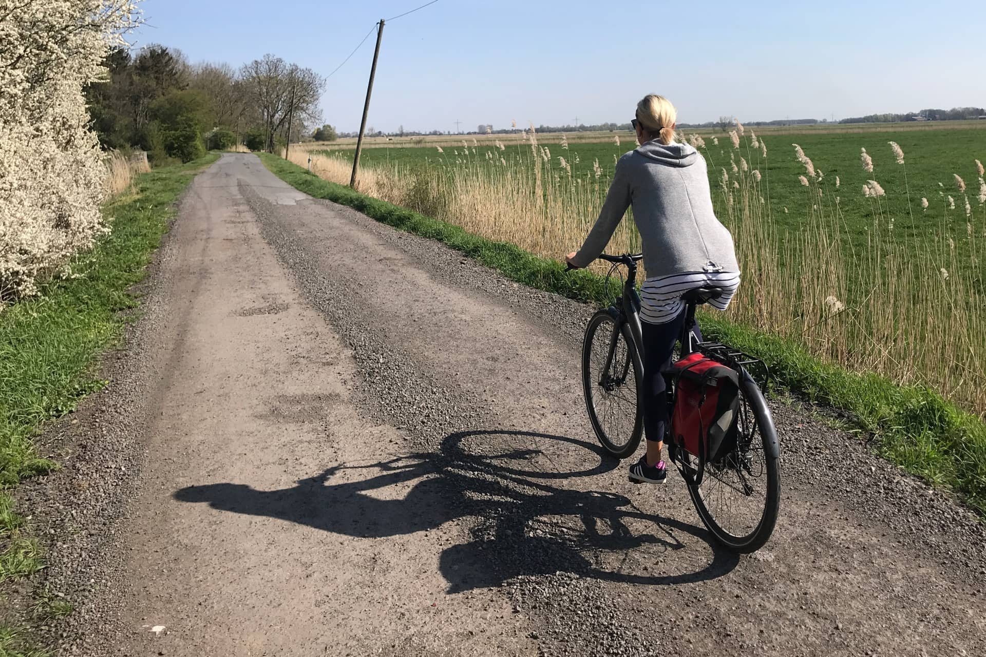 Ampler Commuter Stories: Tina's 8 km ride with Stellar