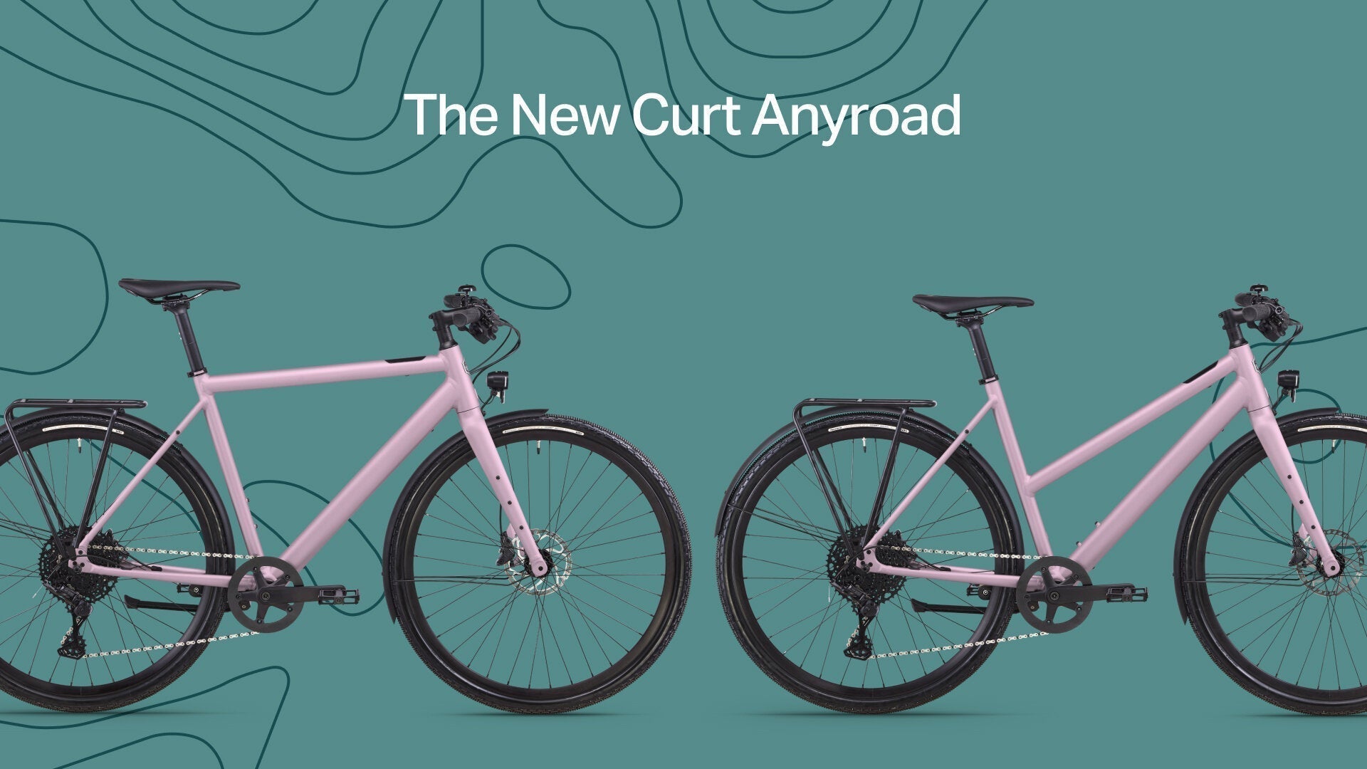 Unveiling the Ampler Curt Anyroad